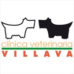 cv-villava.jpg